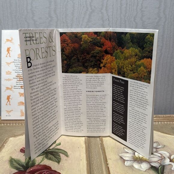 Vintage 1998 Great Smoky Mountains National Park Pamphlets Set of Four - Picture 6 of 16